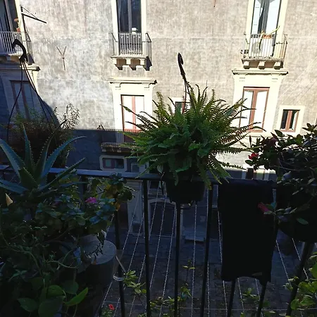 I 维斯普里酒店 住宿加早餐酒店 3*