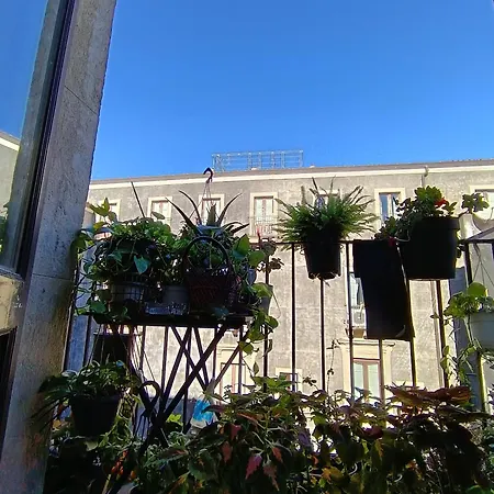 I 维斯普里酒店 住宿加早餐酒店